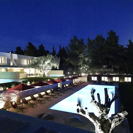 Amantes And ניקיטי