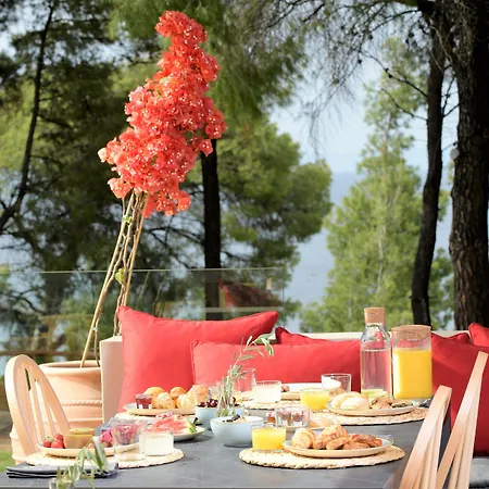 Amantes And Hotel Nikiti (Sithonia)