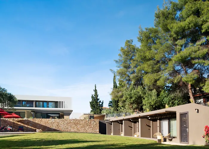 Amantes And מלון ניקיטי