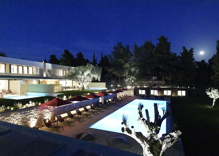 Amantes And 尼基季