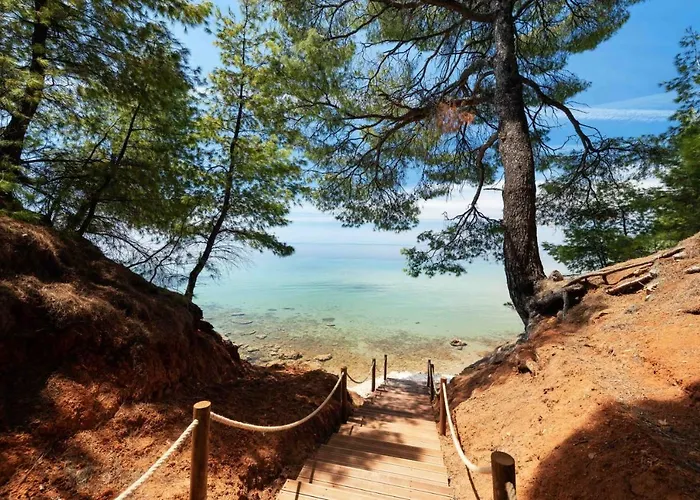 Amantes And 尼基季